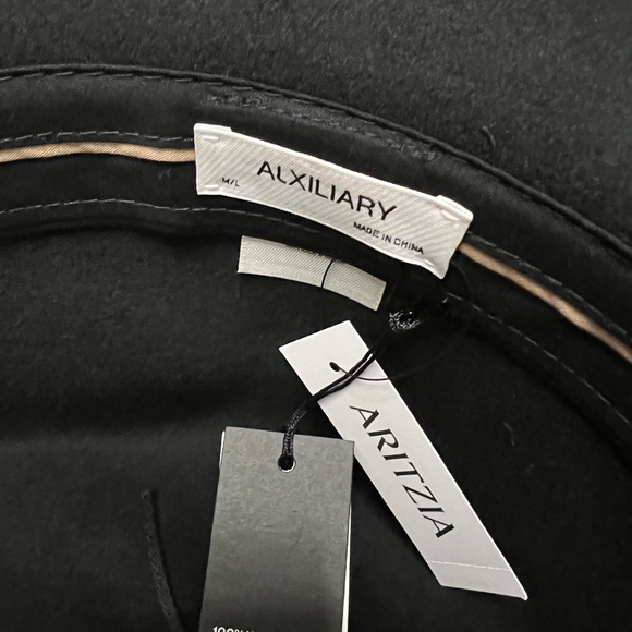 Aritzia Auxiliary Wool Fedora (M/L) - Picture 5 of 8